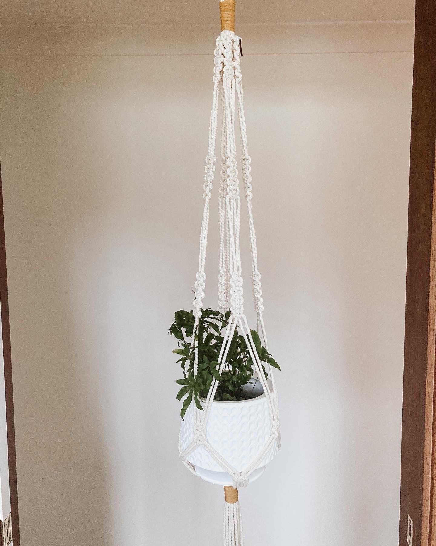 Plant Hangers