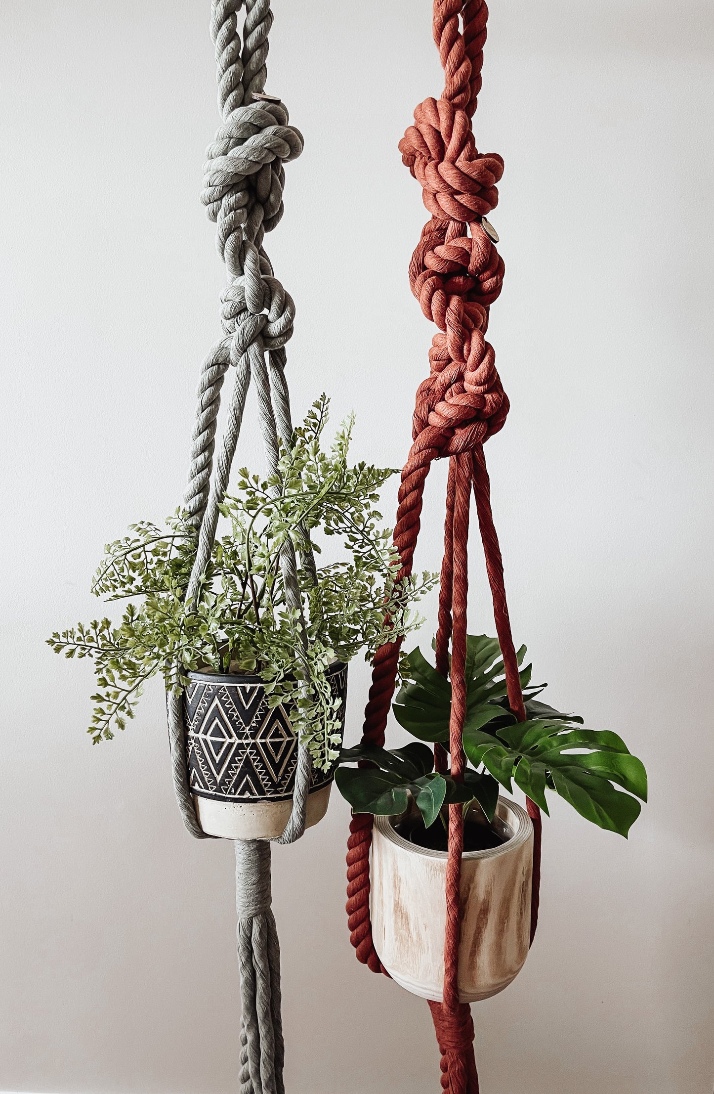 Plant Hanger -Block colour 20mm rope