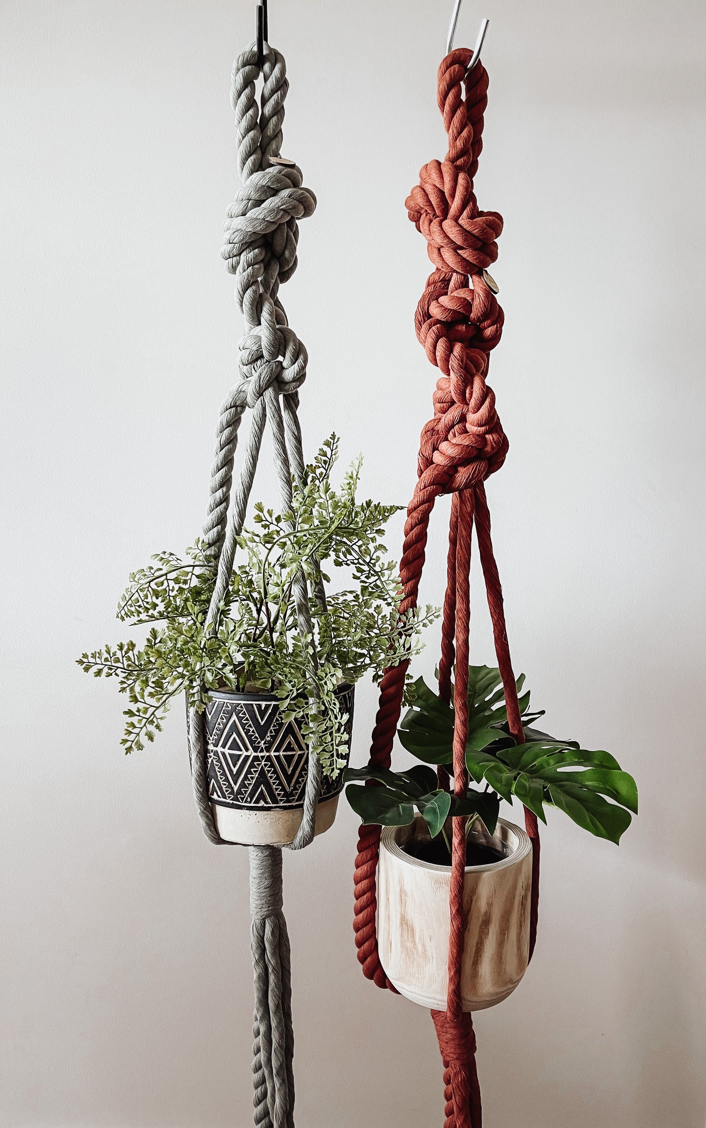 Plant Hanger -Block colour 20mm rope