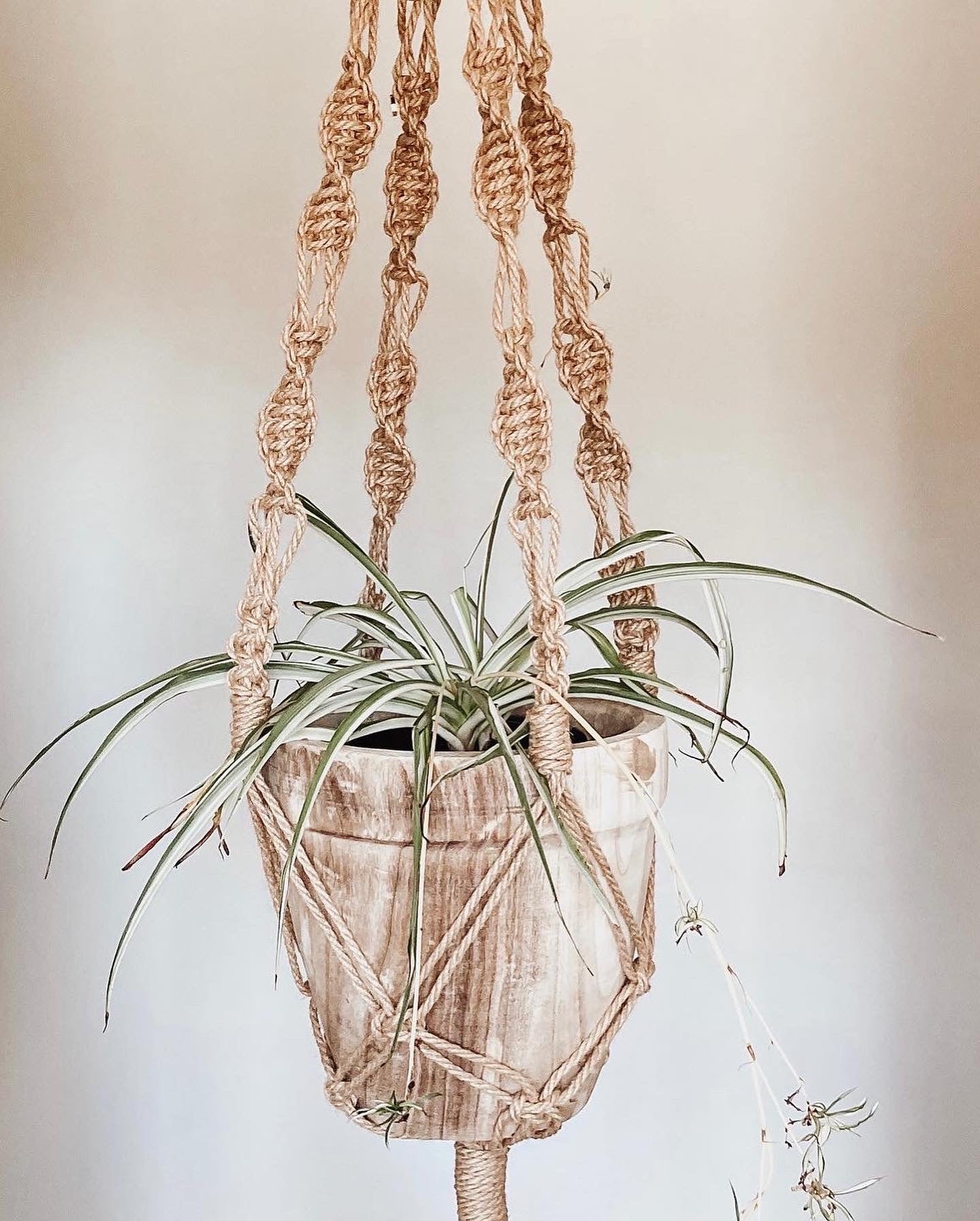 Jute Plant Hanger