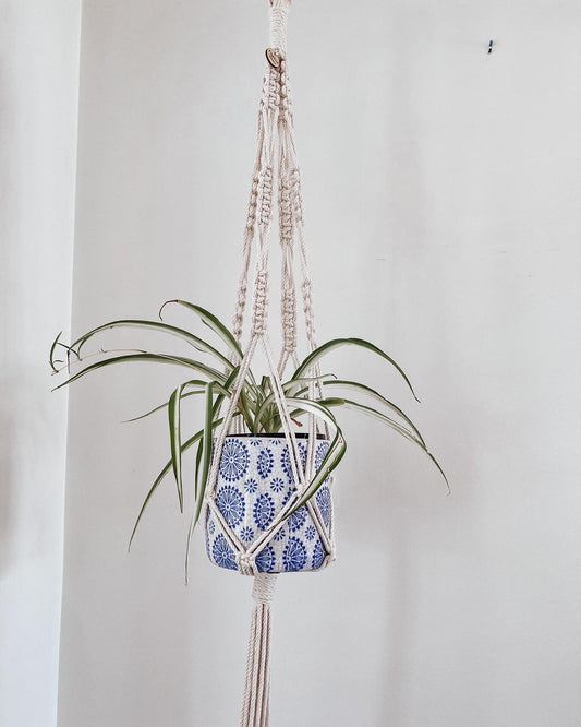 Macrame Plant hanger Kit