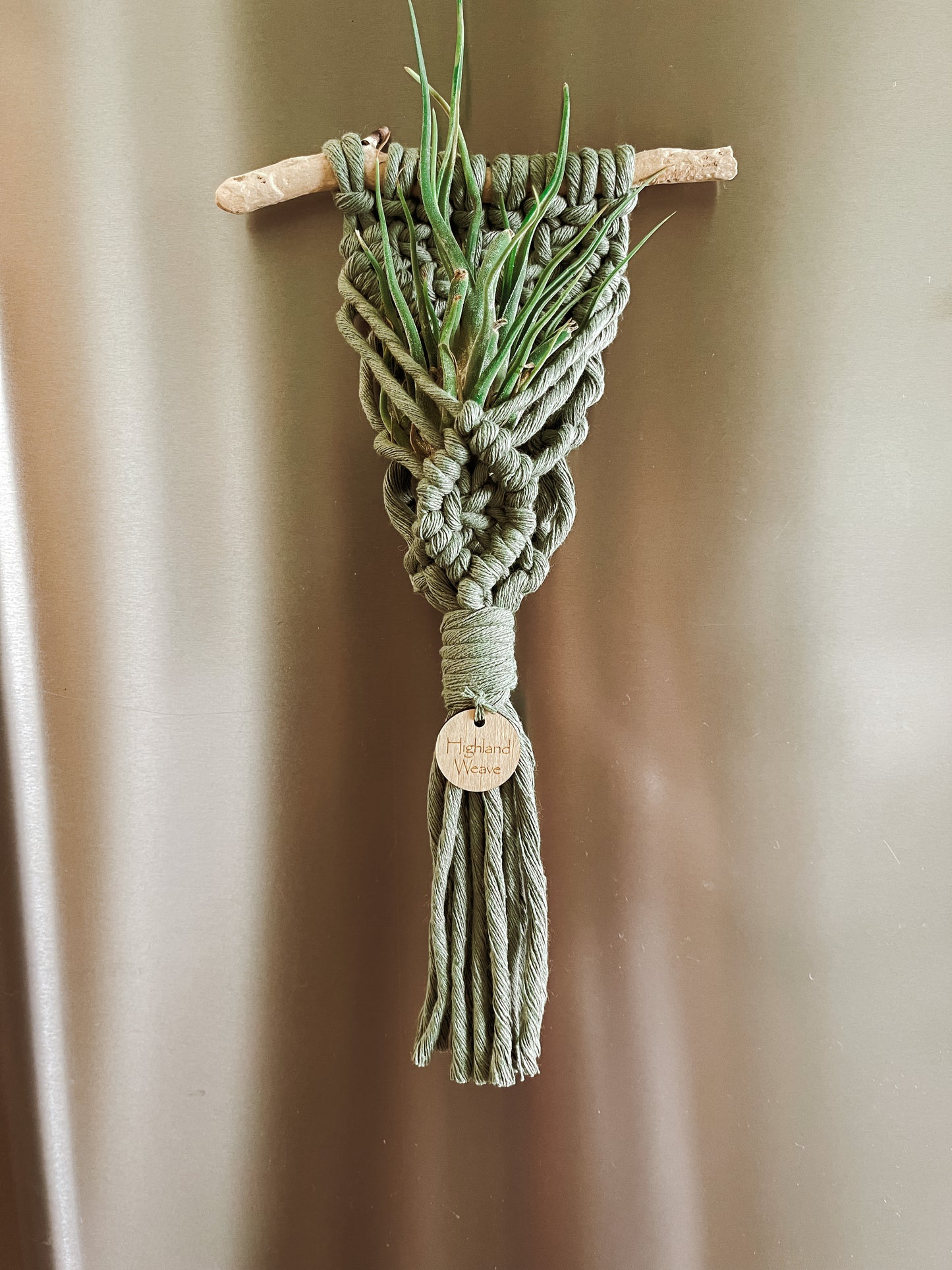 Air Plant Holder Fridge Magnet