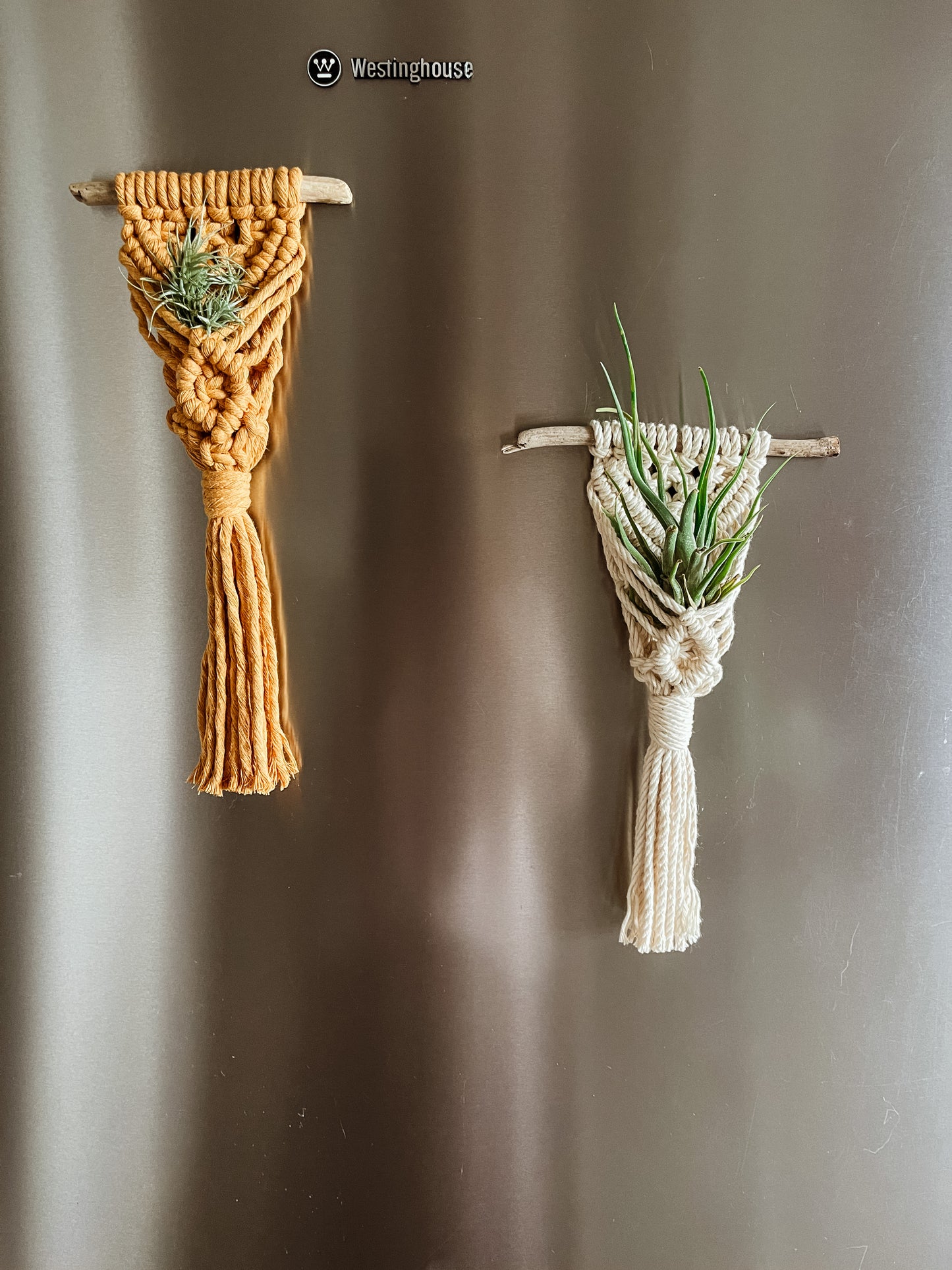 Air Plant Holder Fridge Magnet