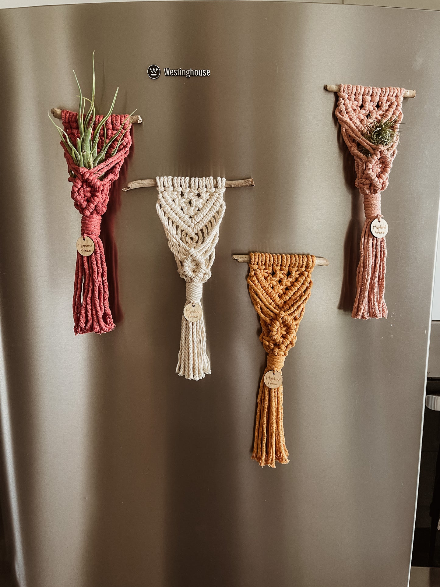 Air Plant Holder Fridge Magnet